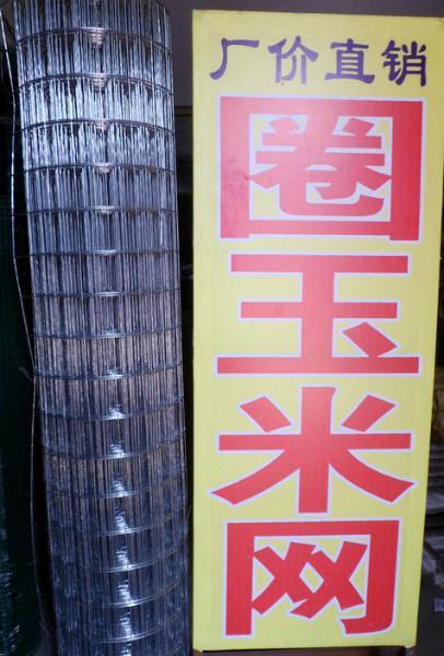 圈玉米網 圈玉米網